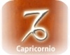 Signo capricornio